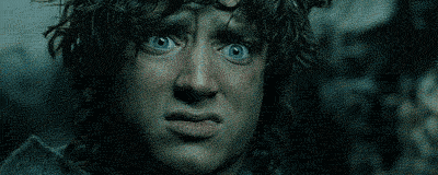 Frodo-Is-Really-Disgusted-Reaction-Gif.g