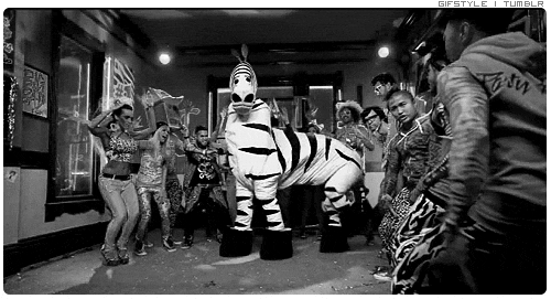 Shuffle-Zebra-Dance-Party-Reaction-Gif.g