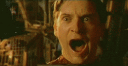 Tobey-Maguire-As-Spider-Man-Devastated-Screaming-Reaction-Gif.gif