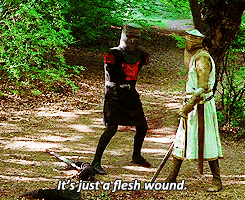 Image result for monty python and the holy grail flesh wound gif