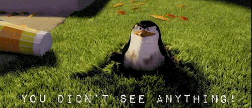 http://mrwgifs.com/wp-content/uploads/2013/06/You-Didnt-See-Anything-Penguin-In-Madagascar.gif