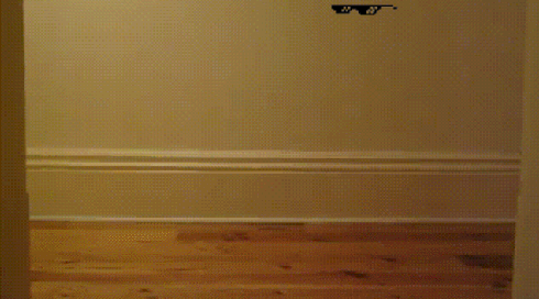 Deal-With-It-Skateboarding-Cat-Gif.gif