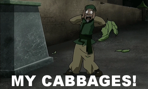My-Cabbages-Gif-On-Avatar-The-Last-Airbe