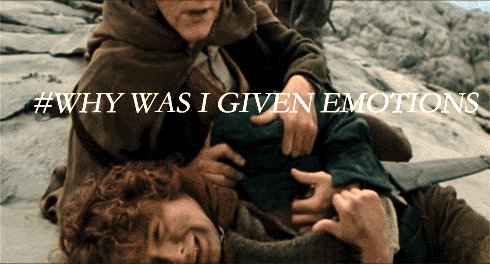 Why-Was-I-Given-Emotions-Lord-Of-The-Rings.gif