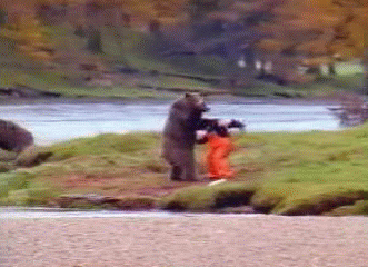 Bear-Vs.-Man-Kung-Fu-Fight-In-The-Wild.gif