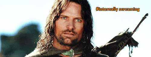 Aragorn-Internally-Screaming-In-Lord-Of-The-Rings-Reaction-Gifs.gif