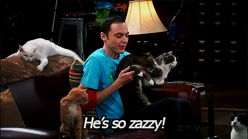 Image result for Big Bang Theory Sheldon tumbr gifs