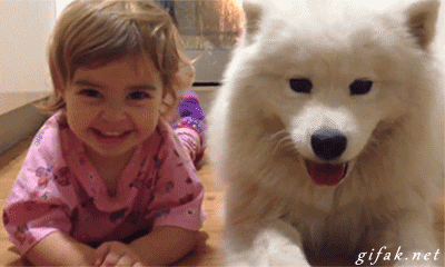 Mischevious-Baby-and-Goofy-Sidekick-Samoyed-Dog-Laugh-At-Their-Own-Evil-Plans.gif