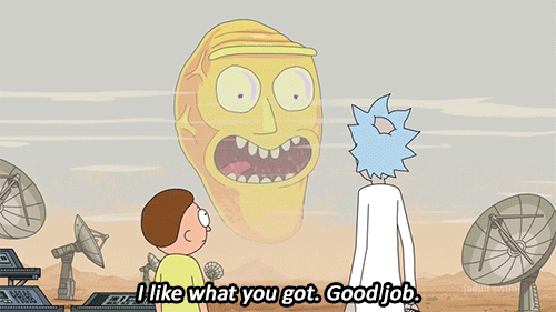 I-Like-What-You-Got-Good-Job-On-Rick-and-Morty-Get-Schwifty.gif