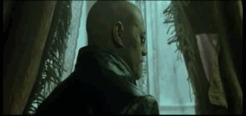 http://mrwgifs.com/wp-content/uploads/2013/06/At-Last-Morpheus-In-The-Matrix-Gif.gif