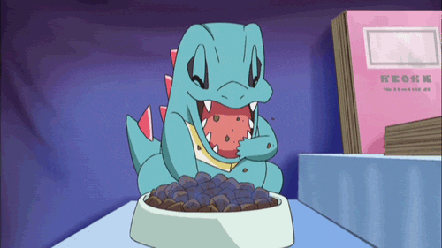 Totodile-Eating-His-Dinner-On-Pokemon-Gif.gif